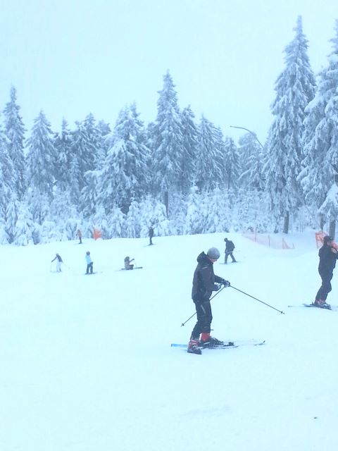 Bild 1-1