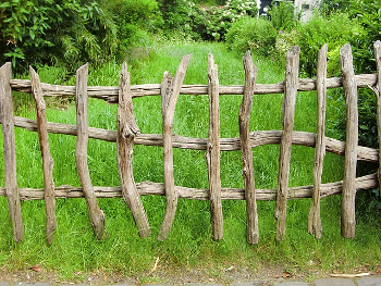 Einführung in die barrierefreie Gestaltung von Webseiten