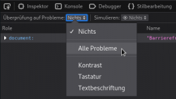 Screenshot des Auswahlmenüs zur Überprüfung auf Problemen des Firefox Barrierefreiheits-Entwickler-Tool