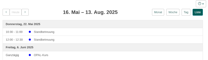 Screenshot persönlicher Kalender