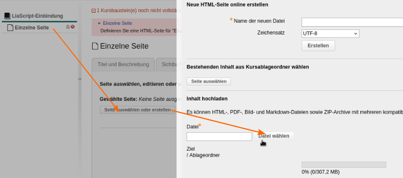 Screenshot der Einstellungen zur Einzelnen Seite im OPAL mit Pfeilen